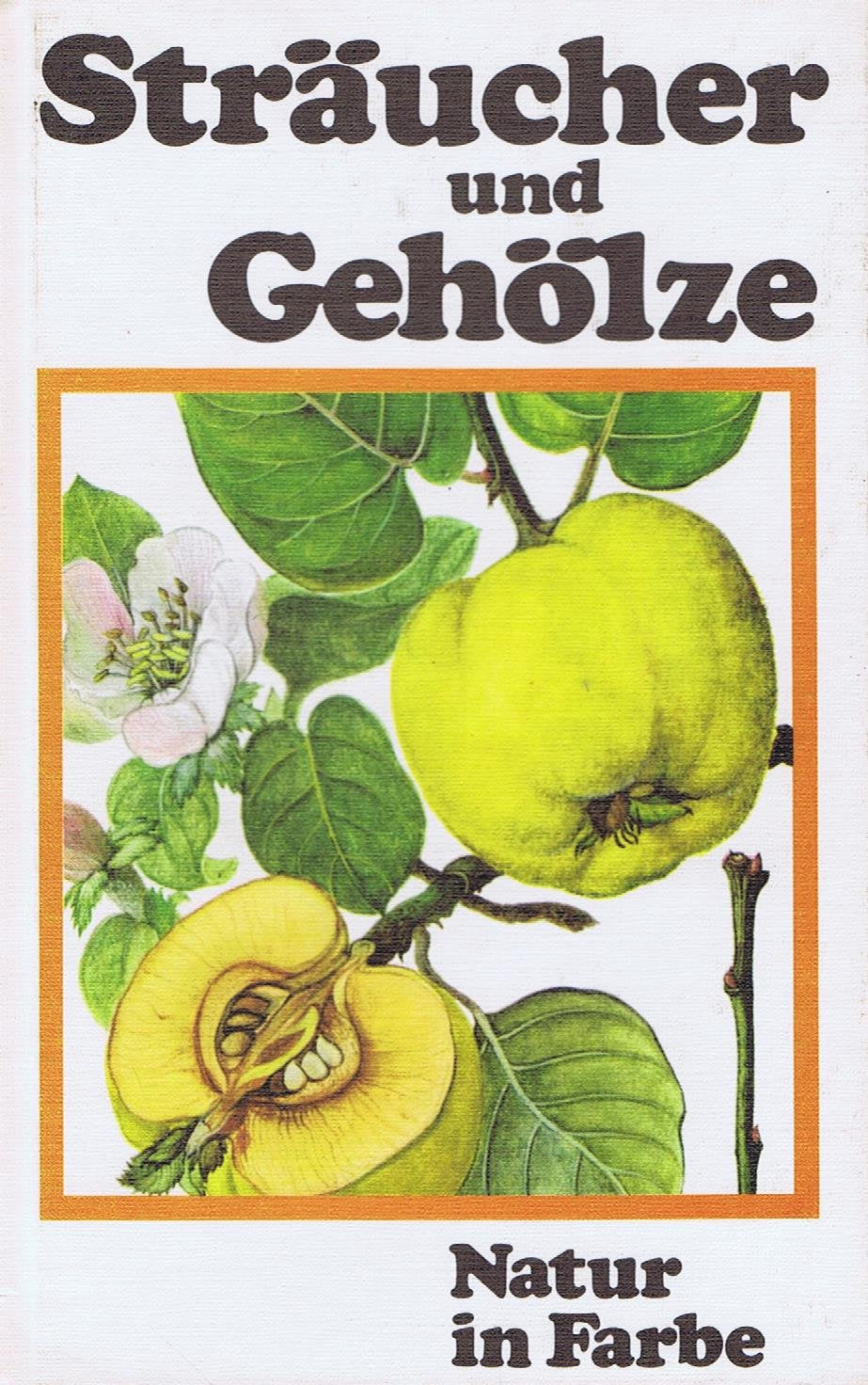 Product Image: Sträucher und Gehölze