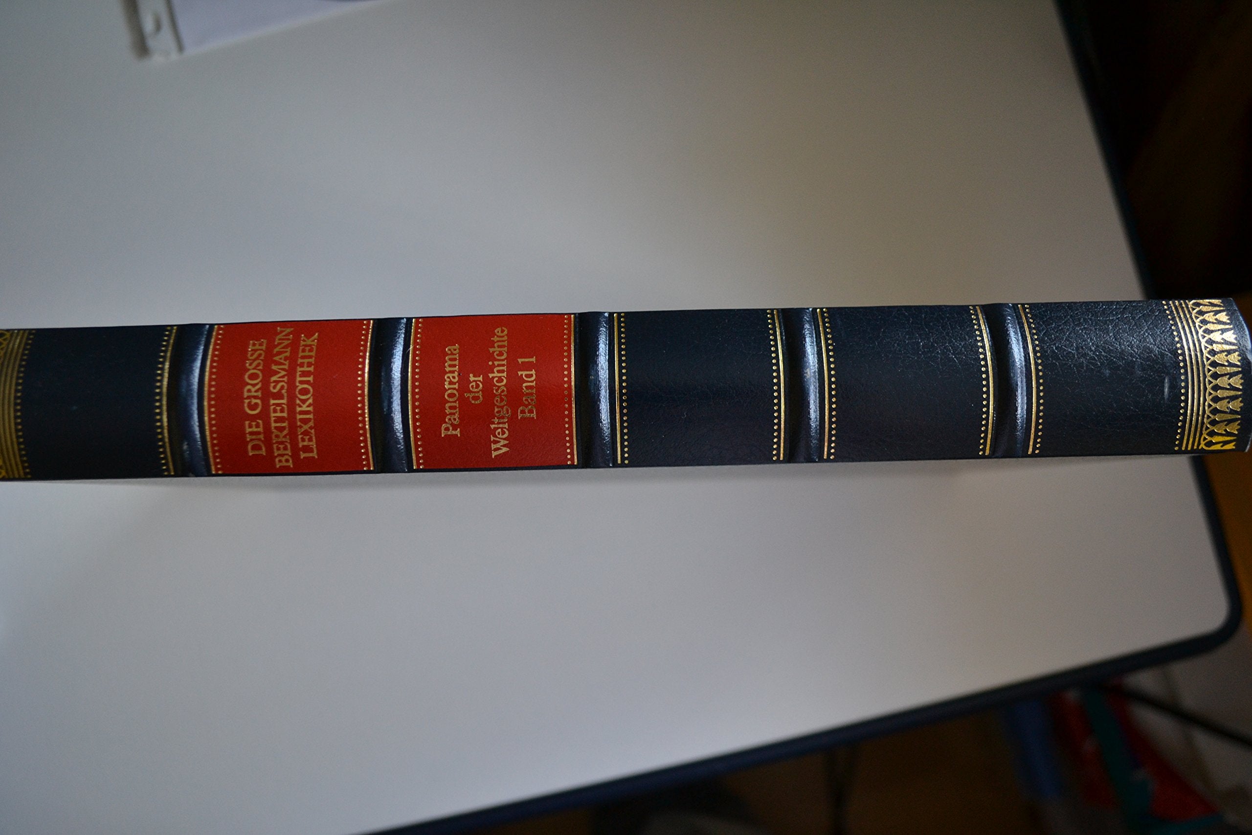 Urgeschichte und Altertum: Vom Beginn der Menschheit bis zum Ende Roms (Panorama der Weltgeschichte , Band 1) Reference Books