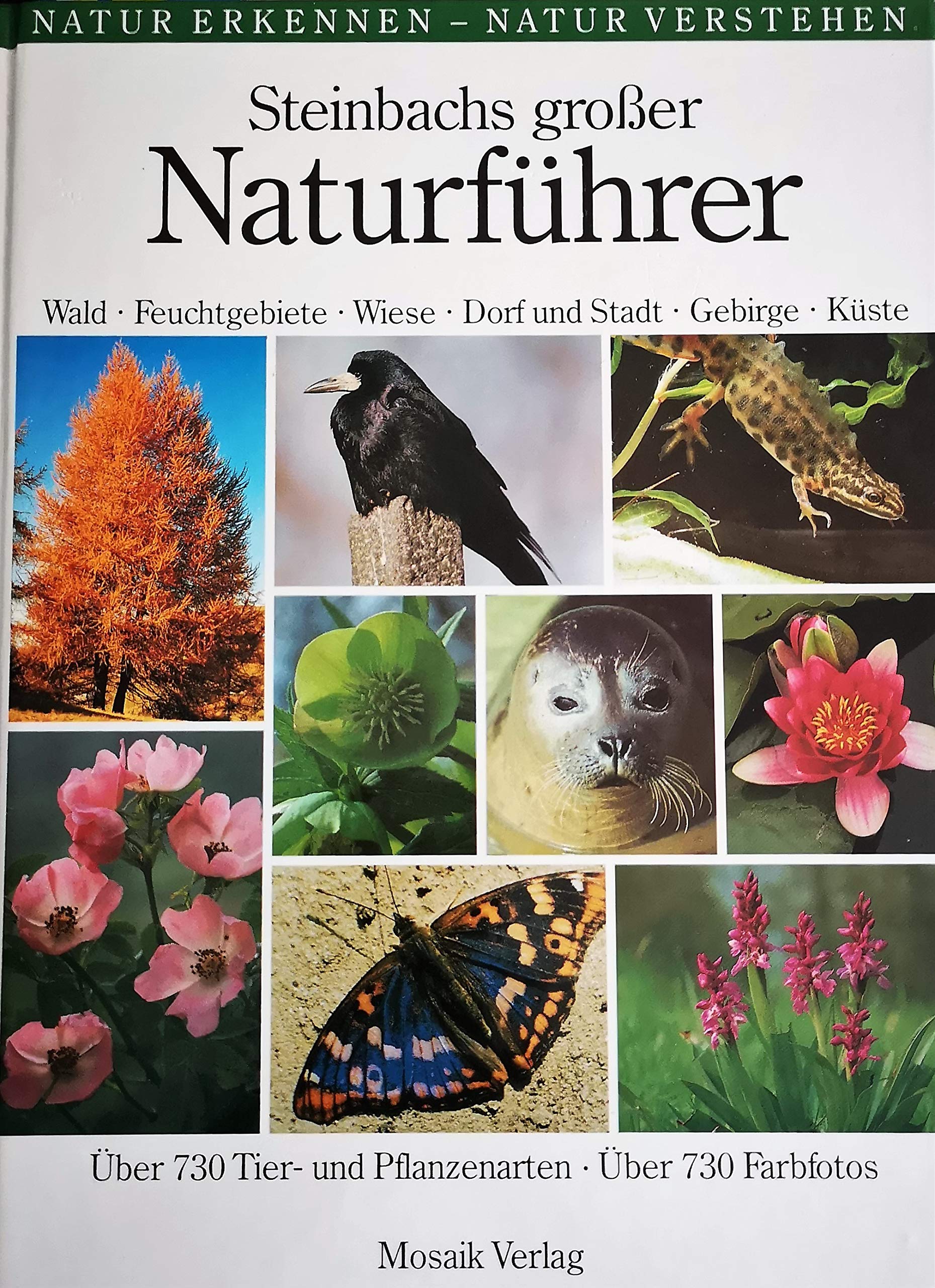 Steinbachs großer Naturführer: Wald - Feuchtgebiete - Wiese - Dorf und Stadt - Gebirge - Küste Leisure, Home & Garden