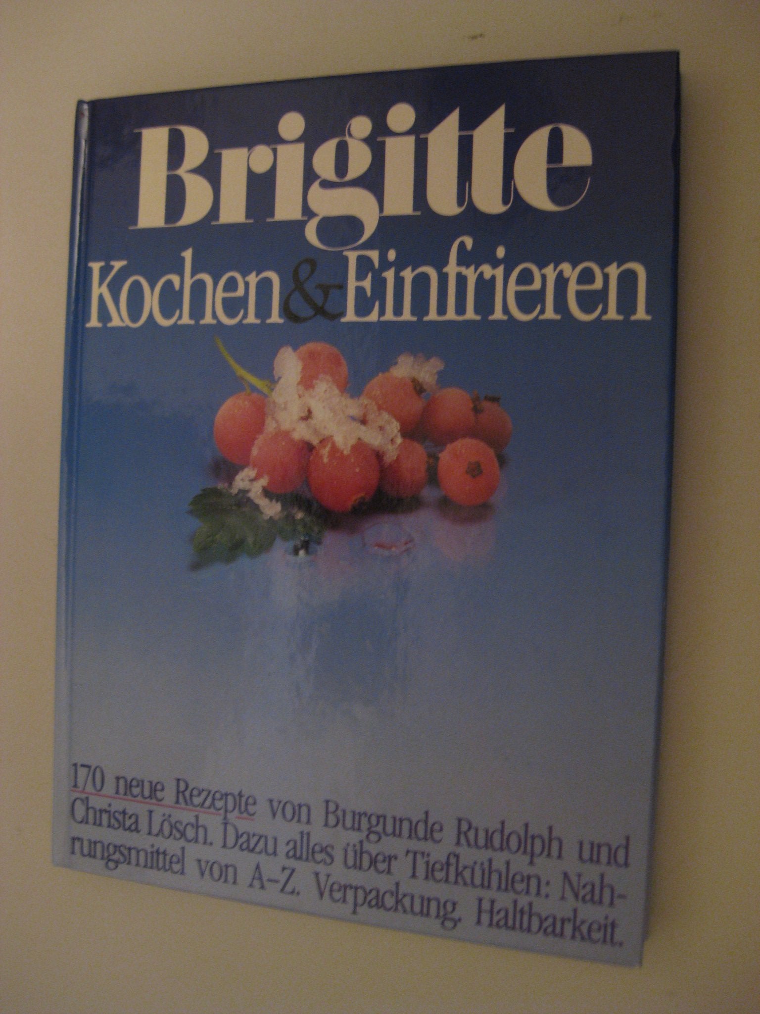 Kochen und Einfrieren (Brigitte Bücher) Books