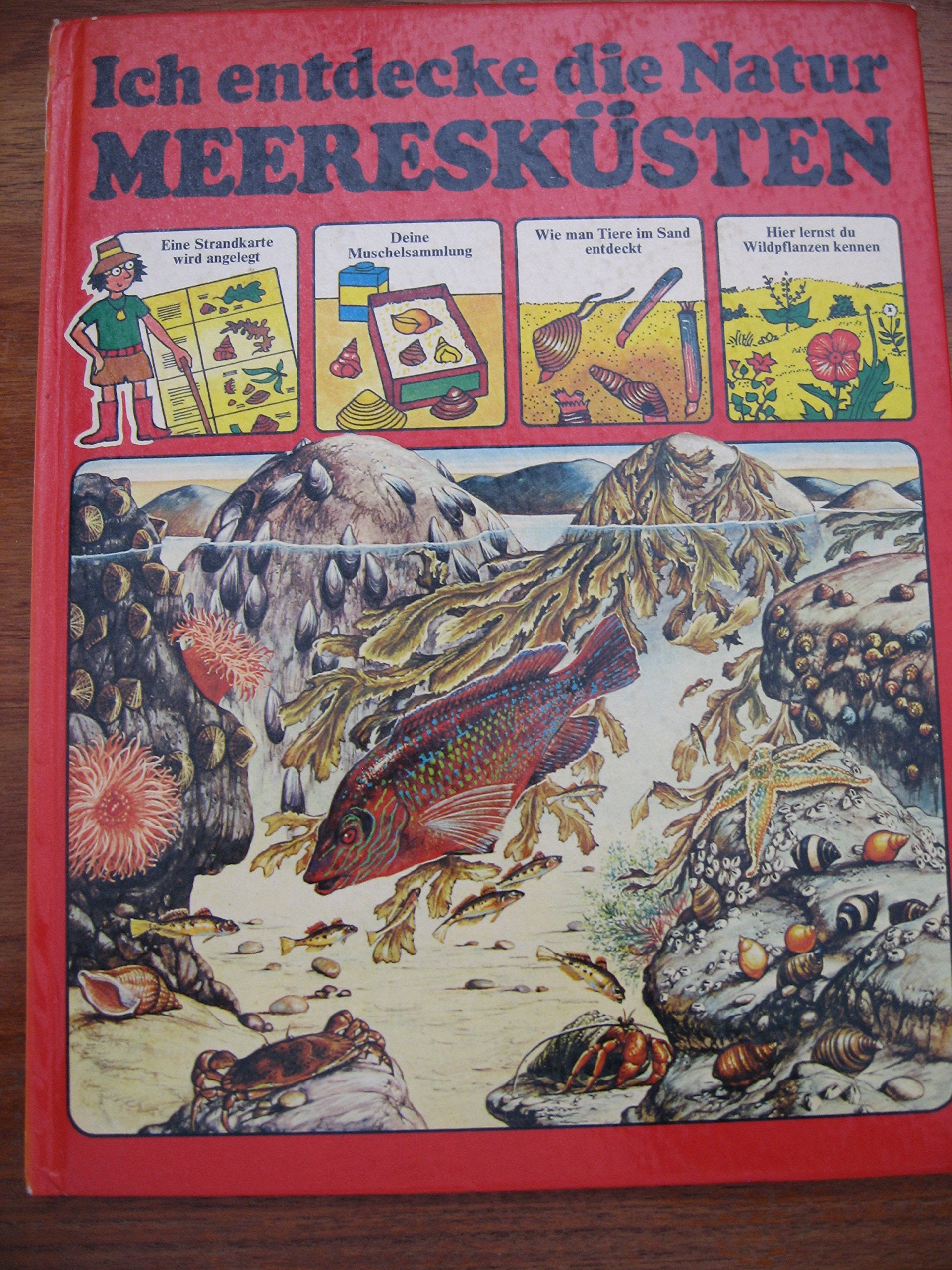 Ich entdecke die Natur, Meeresküsten Books