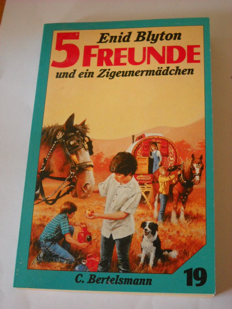 5 Freunde und ein Zigeunermädchen: Taschenbuchausgabe (5 Freunde: Taschenbuchausgabe) Books