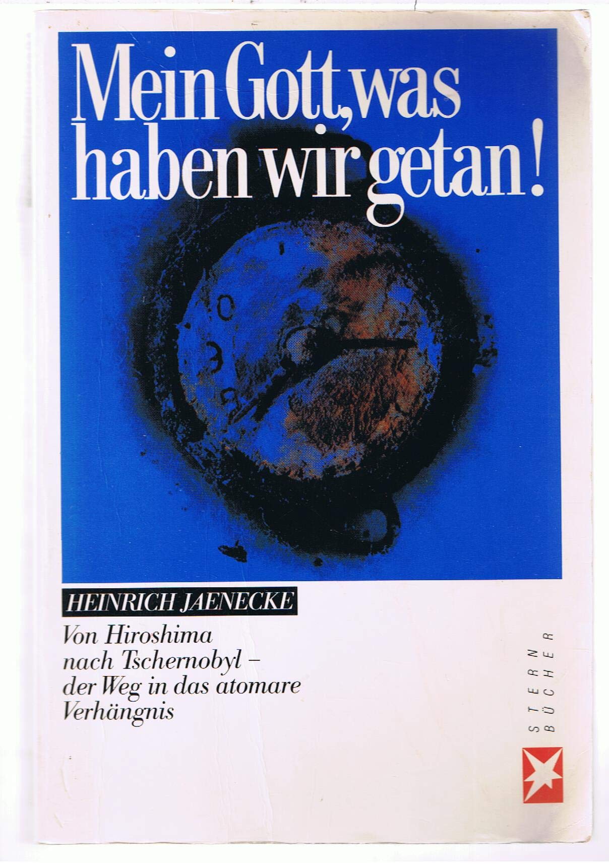 Mein Gott, was haben wir getan!: Der Weg ins atomare Verhängnis (Stern-Bücher) Politics & History