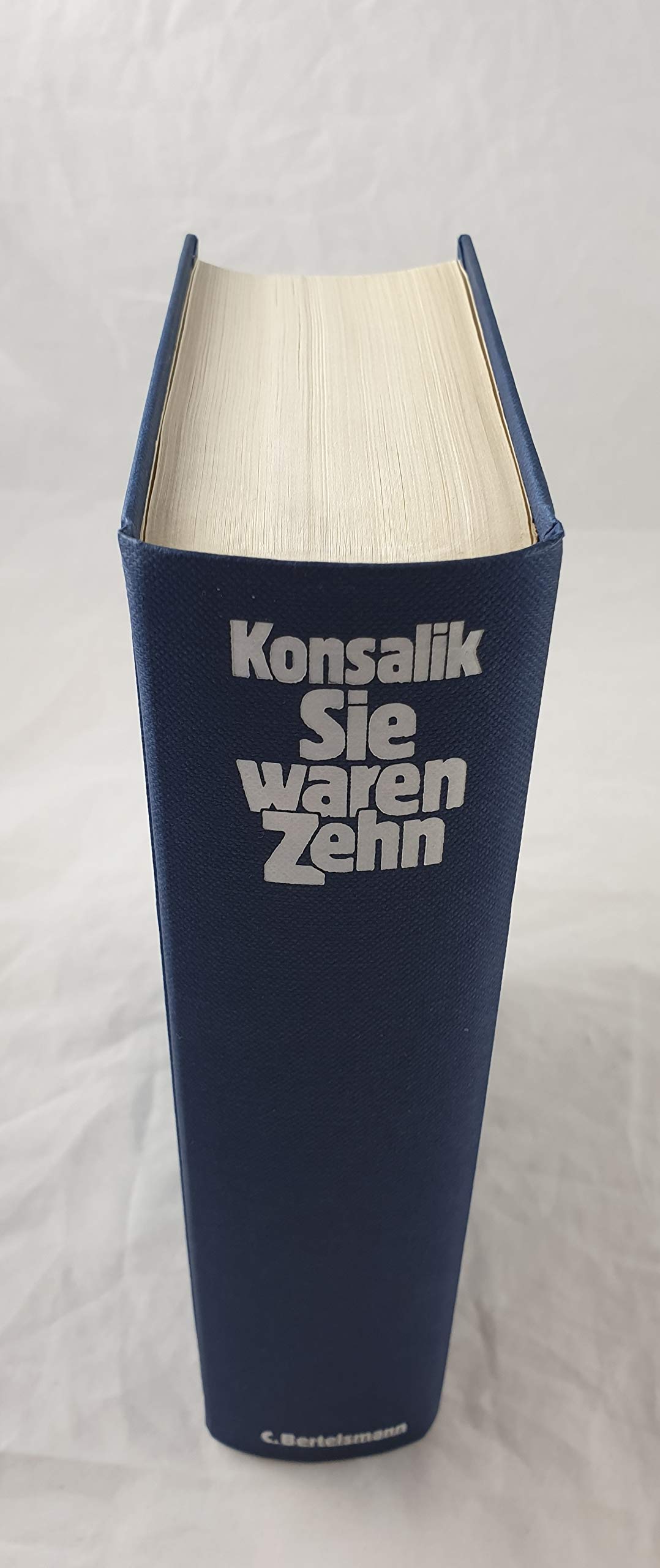 Sie waren Zehn: Roman Contemporary literature