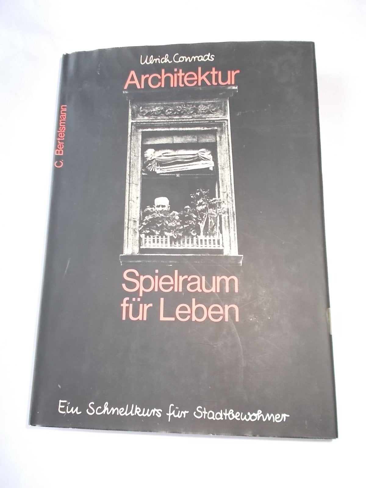 Architektur - Spielraum für Leben, Ein Schnellkurs für Stadtbewohner, Mit vielen Abb., Books