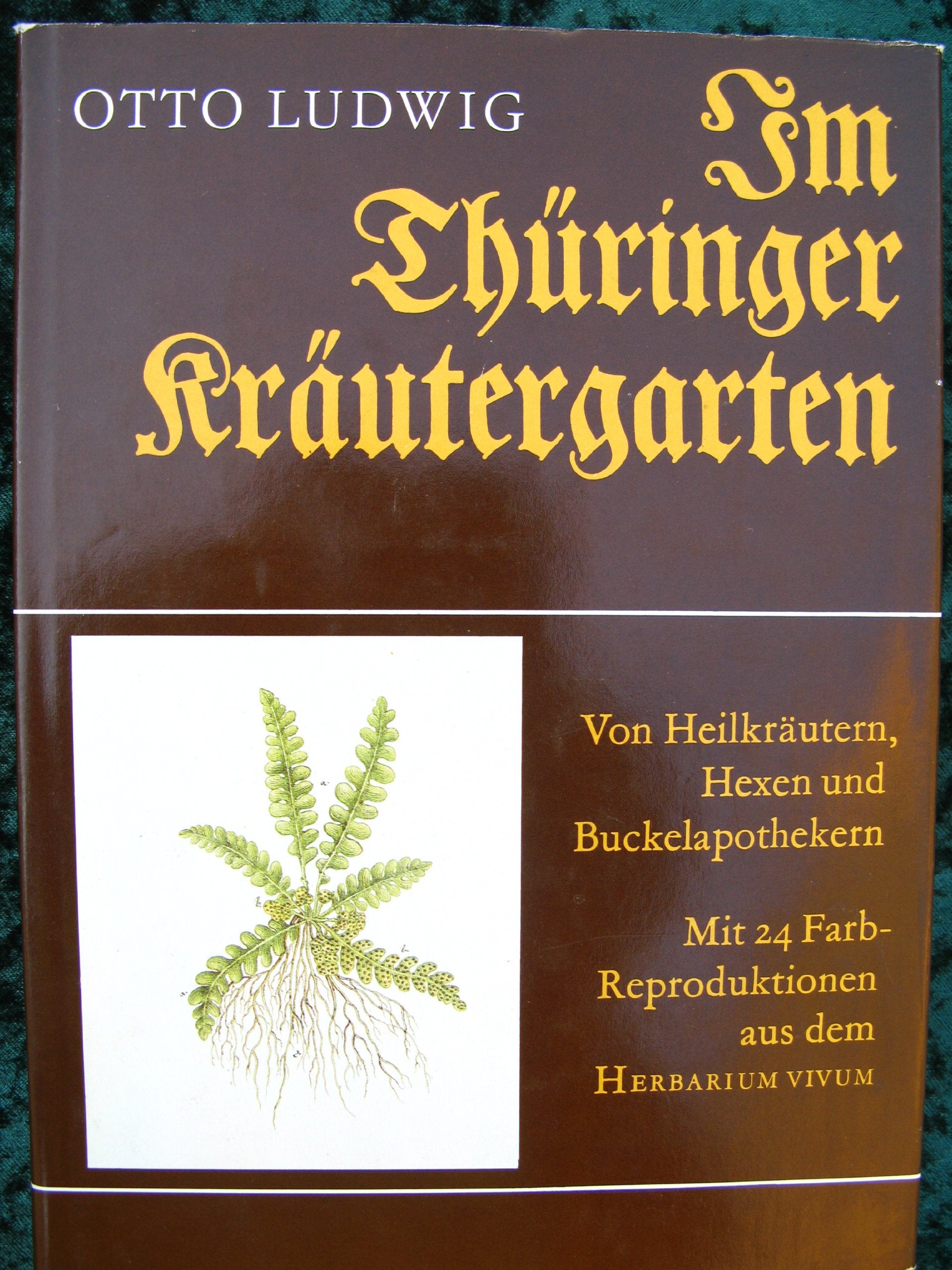Im Thüringer Kräutergarten: Von Heilkräutern, Hexen u. Buckelapothekern. Mit Abb. aus d. 'Herbarium vivum' v. 1756 Books