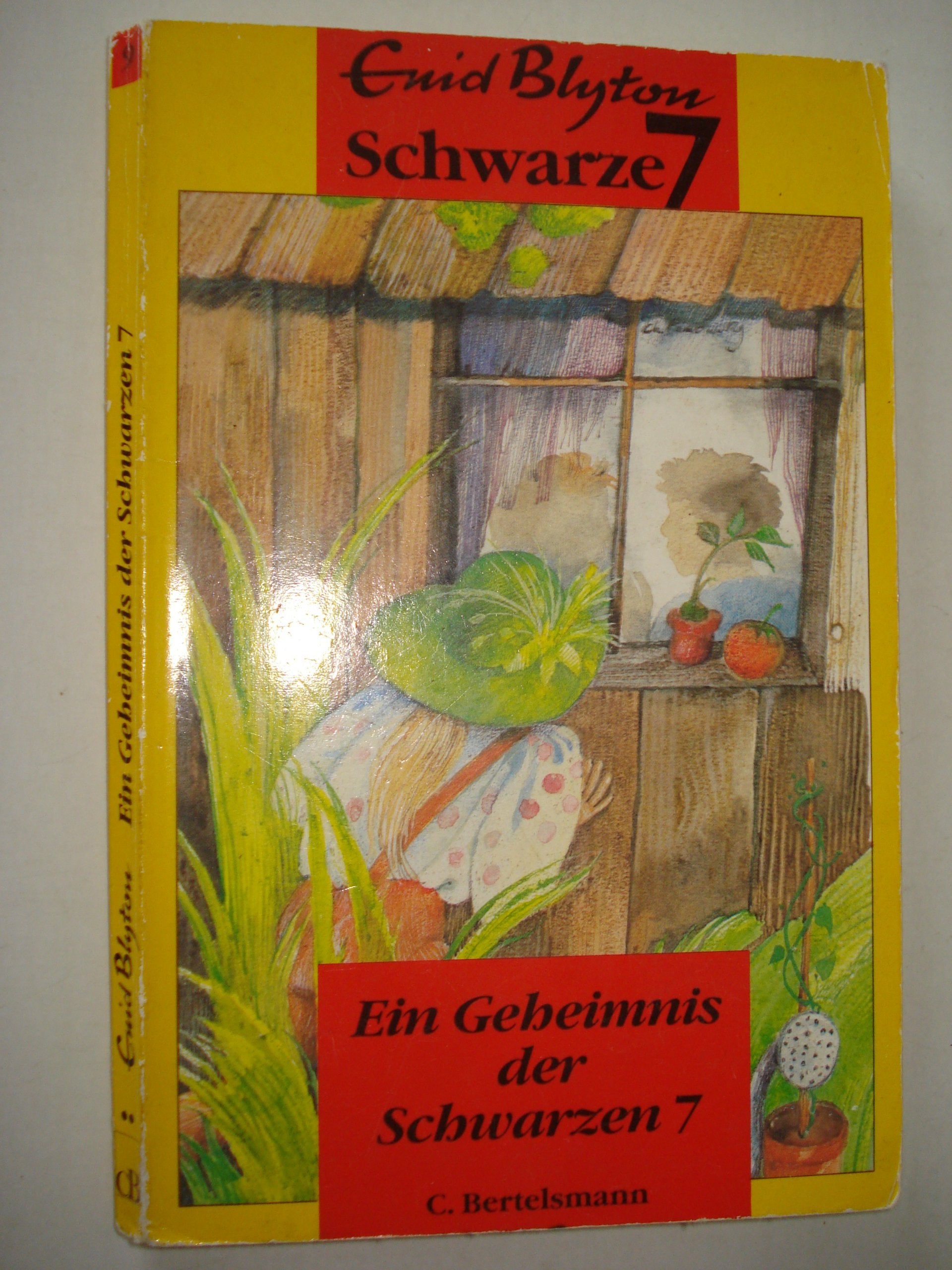 Die Schwarze 7 / Ein Geheimnis der Schwarzen 7 Books