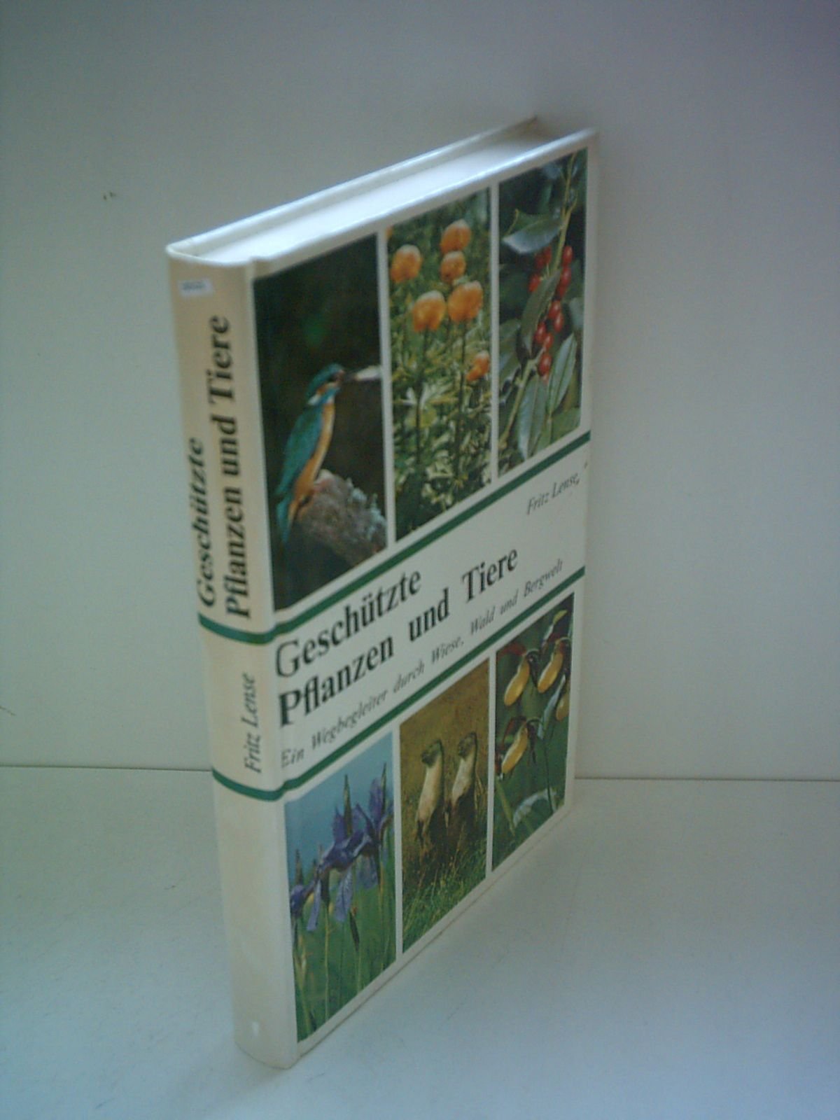 Geschützte Pflanzen und Tiere. Ein Wegbegleiter durch Wiese, Wald und Bergwelt Leisure, Home & Garden