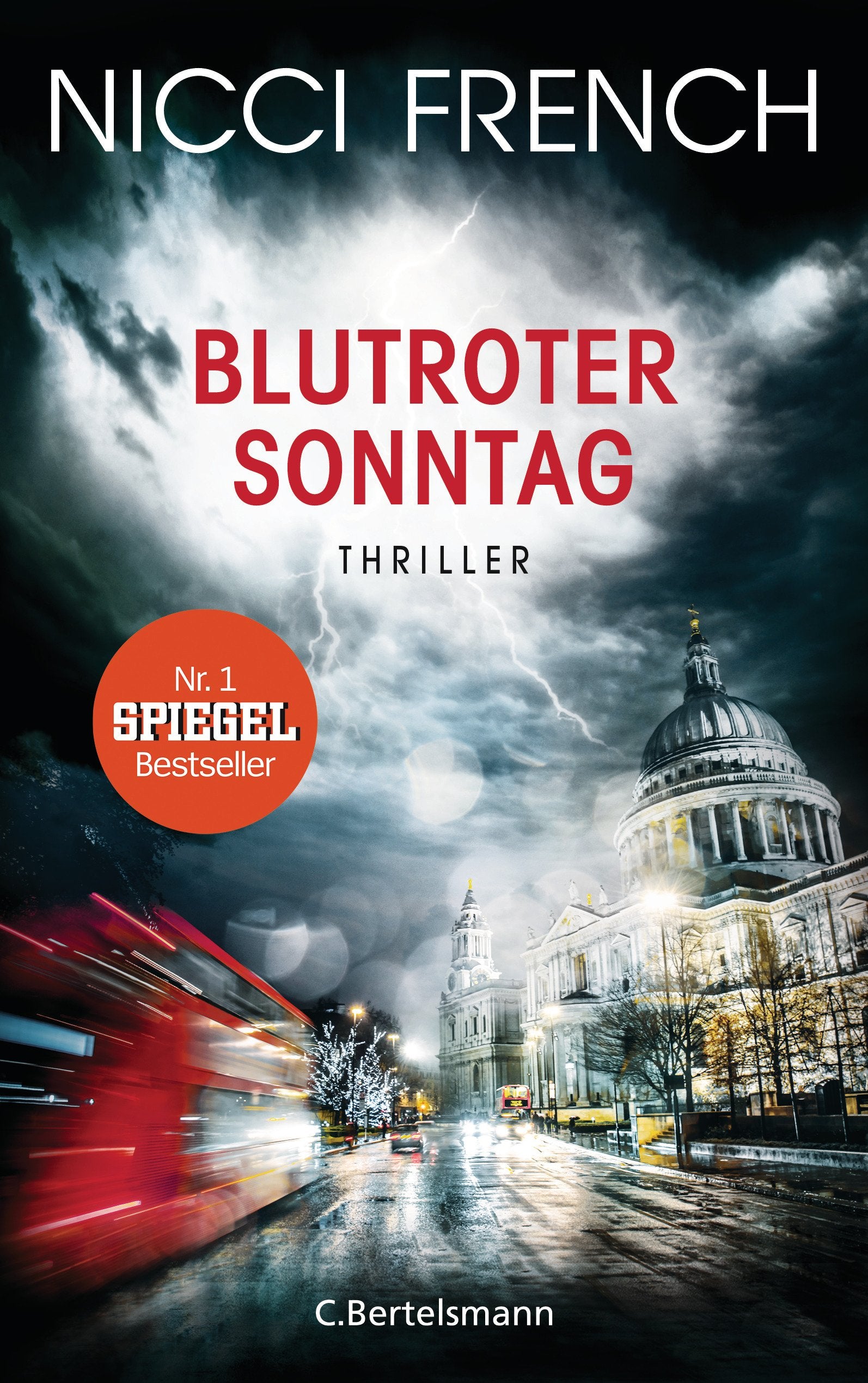 Blutroter Sonntag Contemporary literature Books