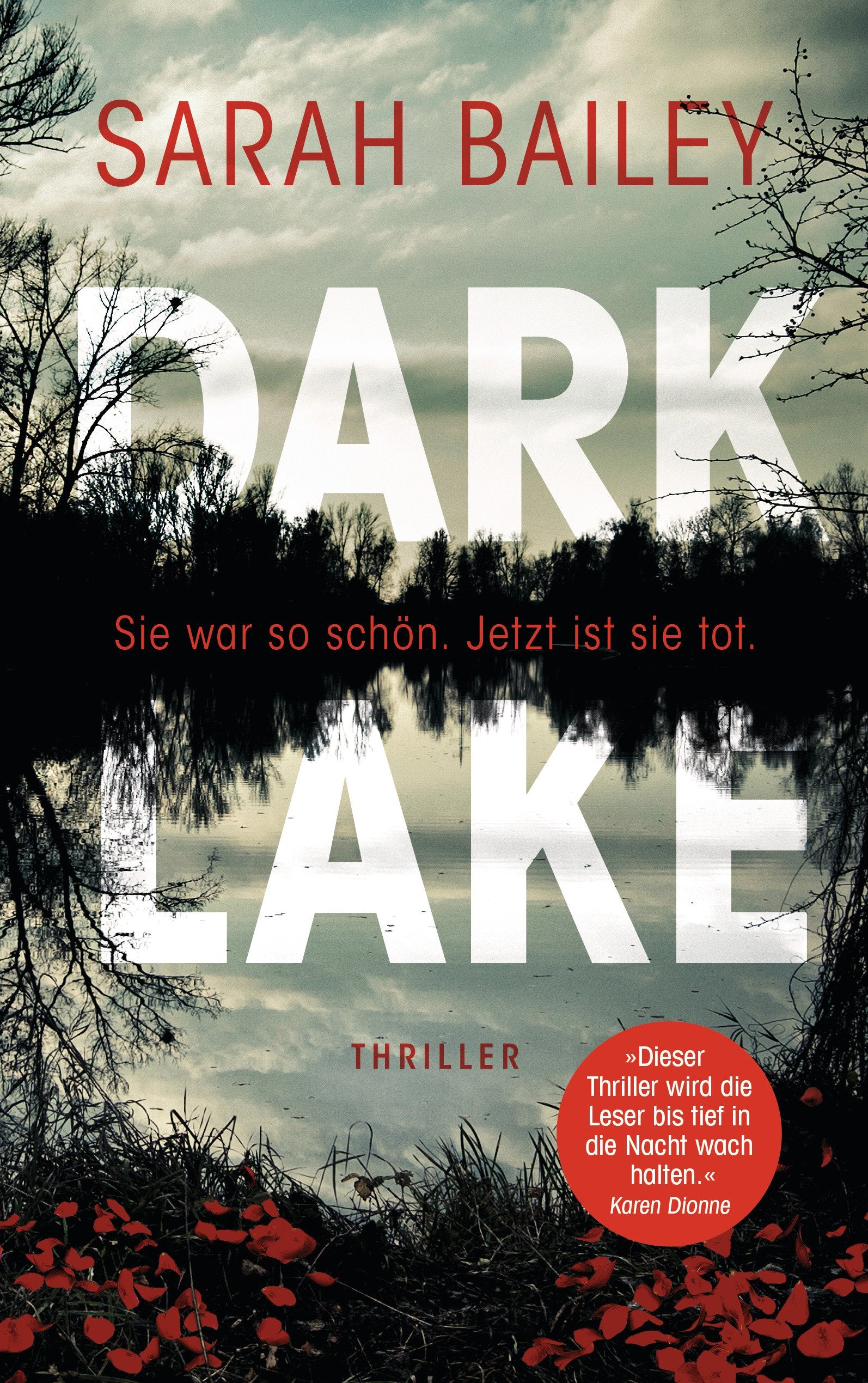 Dark Lake Contemporary literature Books