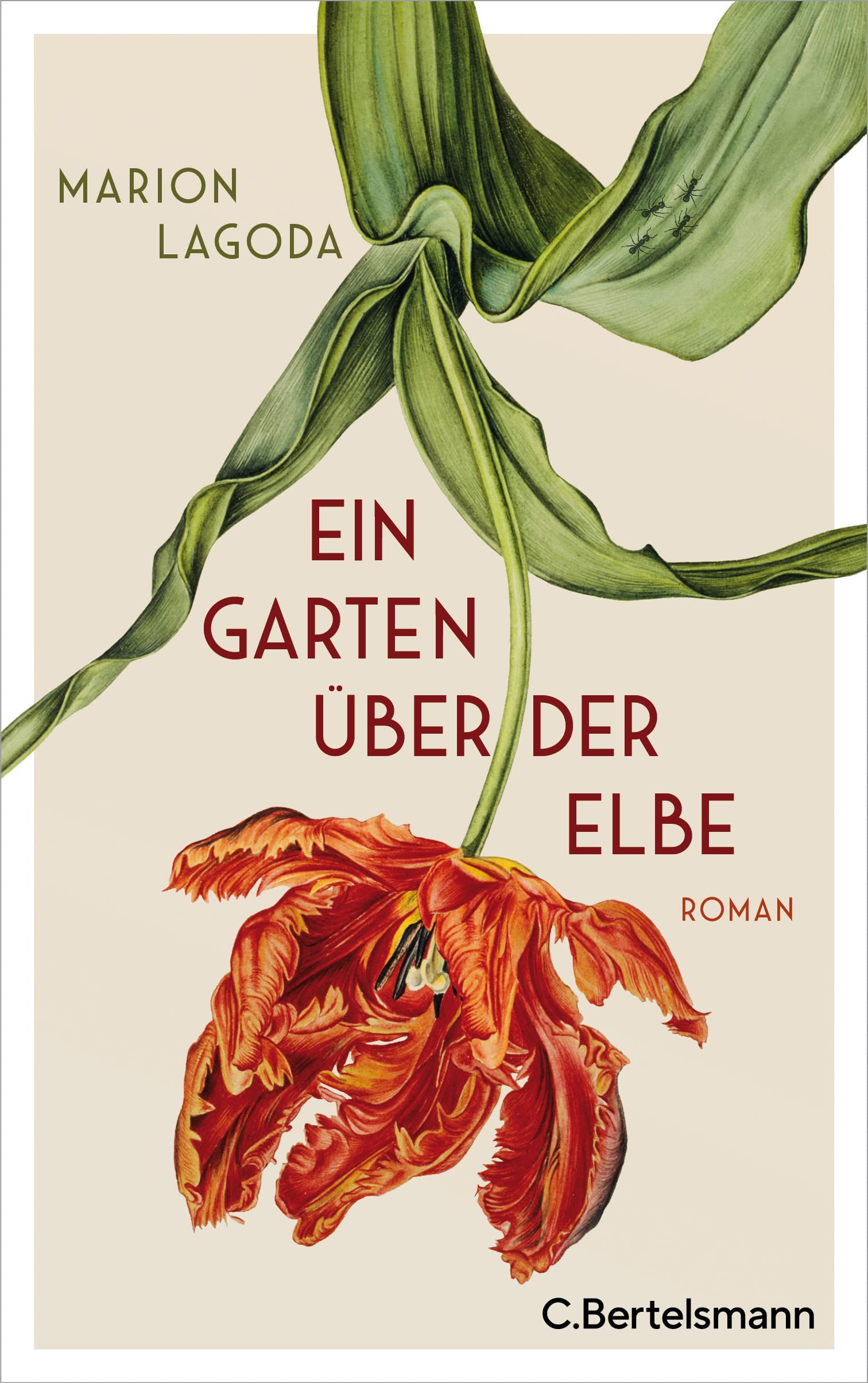 Ein Garten über der Elbe Contemporary literature Books