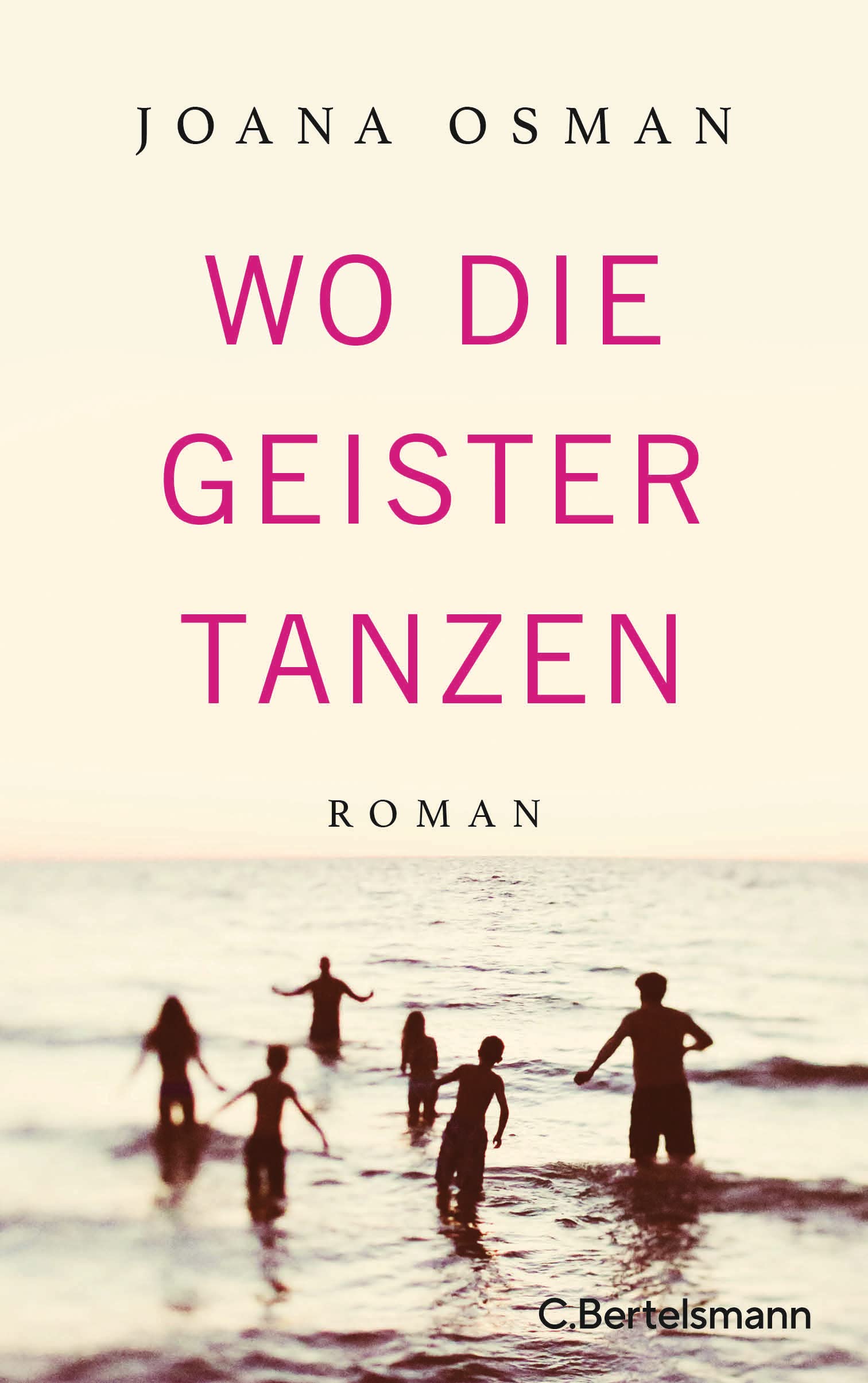 Wo die Geister tanzen Contemporary literature