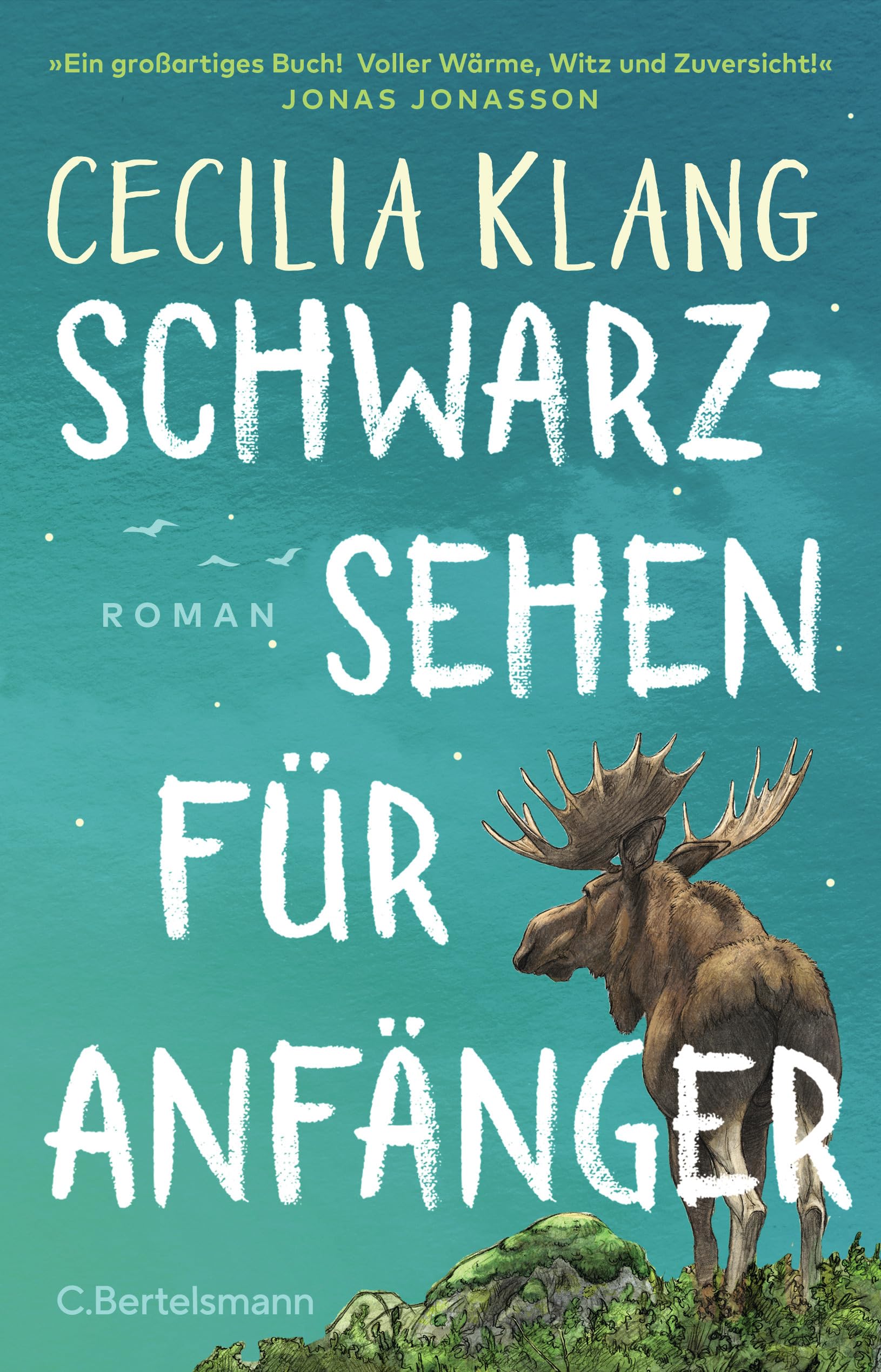 Schwarzsehen für Anfänger Contemporary literature