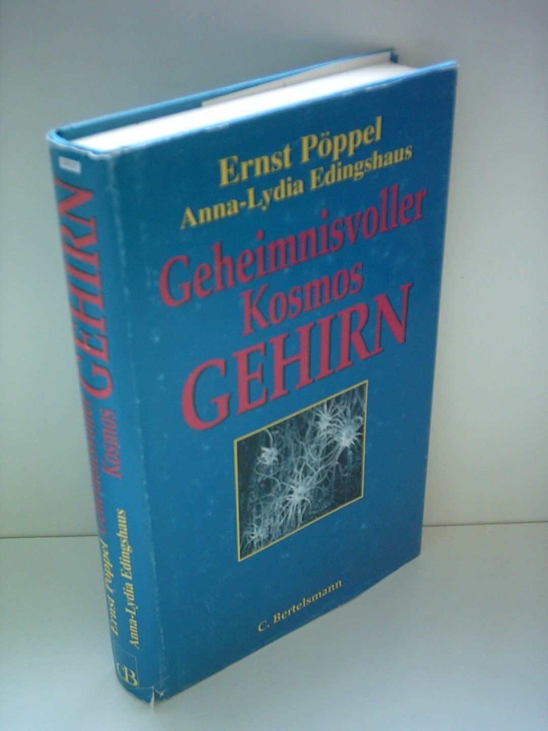 Geheimnisvoller Kosmos: Das menschliche Gehirn Medicine