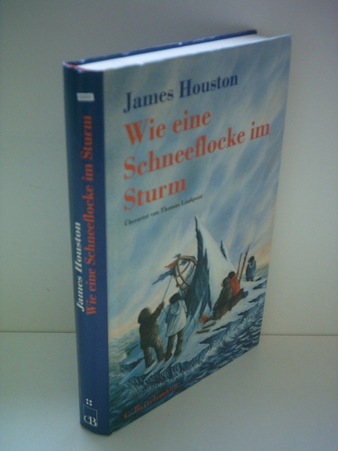 Wie eine Schneeflocke im Sturm Fiction