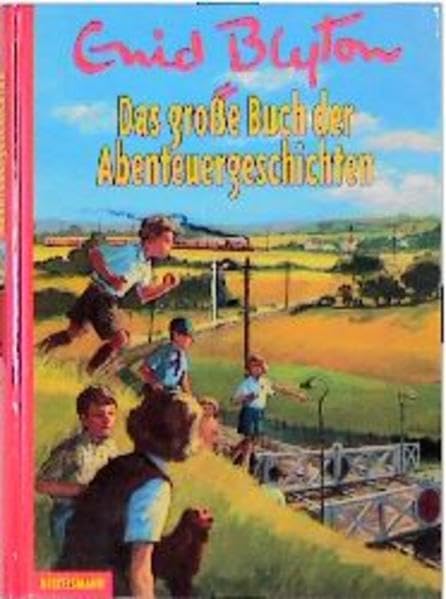 Das grosse Abenteuergeschichten-Buch: Ab 8 Jahren Novels & Short Stories