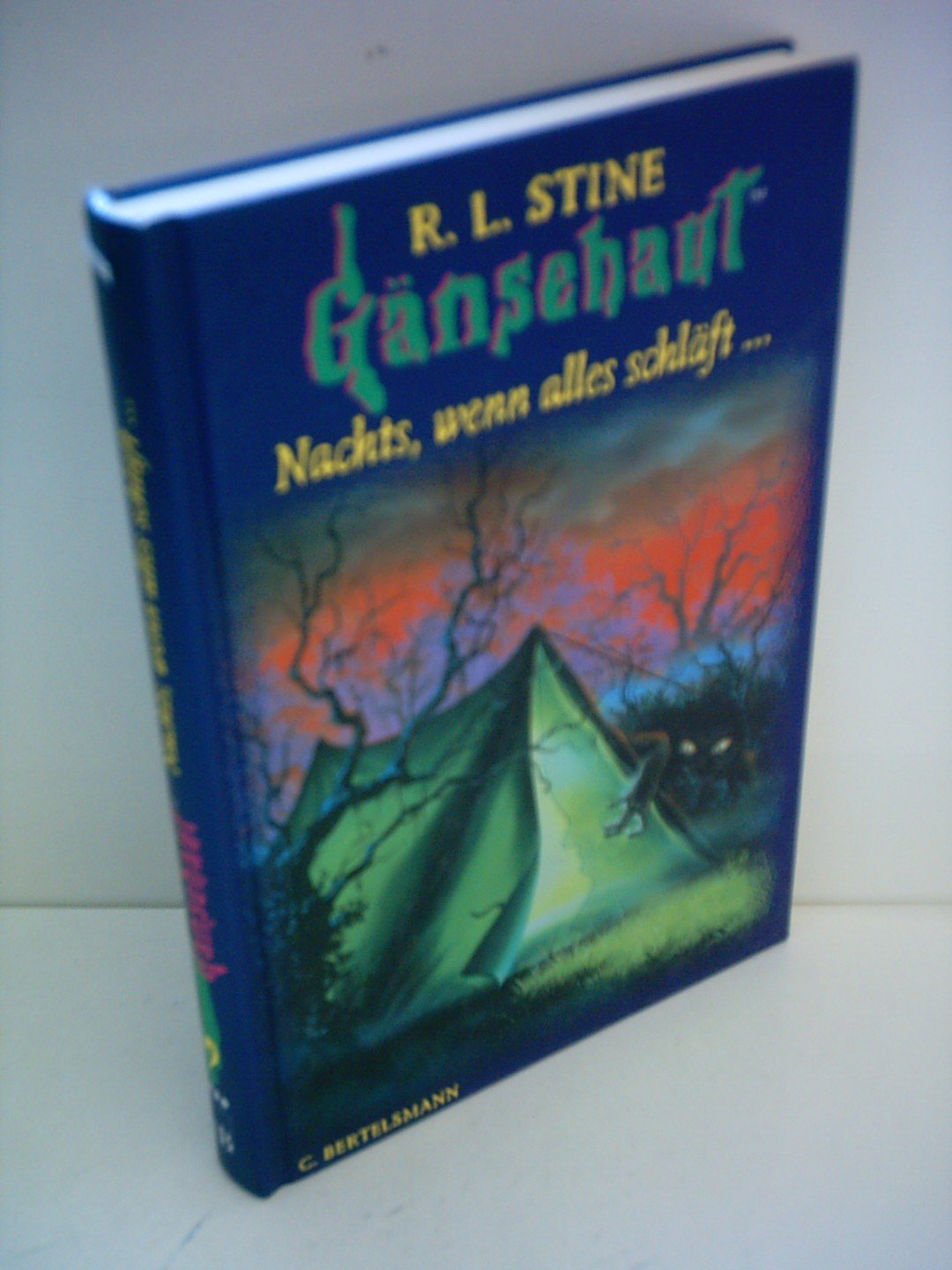 Gänsehaut, Bd.9, Nachts, wenn alles schläft . . . Books