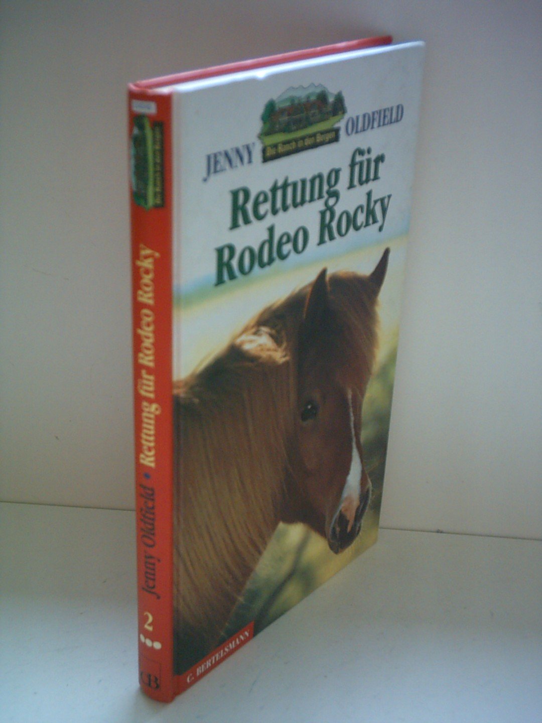 Die Ranch in den Bergen, Bd.2, Rettung für Rodeo Rocky: Aus d. Engl. v. Birgit van der Avoort Novels & Short Stories