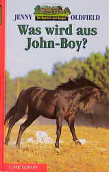 Die Ranch in den Bergen, Bd.4, Was wird aus John-Boy?: Ab 10 Jahre Novels & Short Stories
