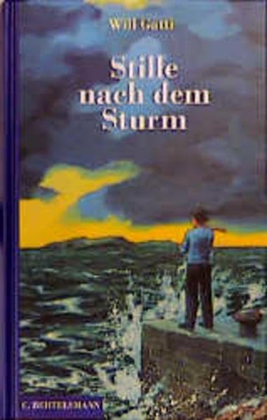 Stille nach dem Sturm: Ab 12 Jahre Fiction