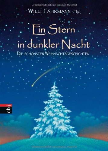 Ein Stern in dunkler Nacht: Die schönsten Weihnachtsgeschichten Novels & Short Stories