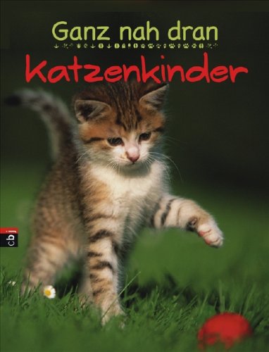 Ganz nah dran - Katzenkinder Non-fiction books for kids
