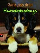 Product Image: Ganz nah dran: Hundebabys