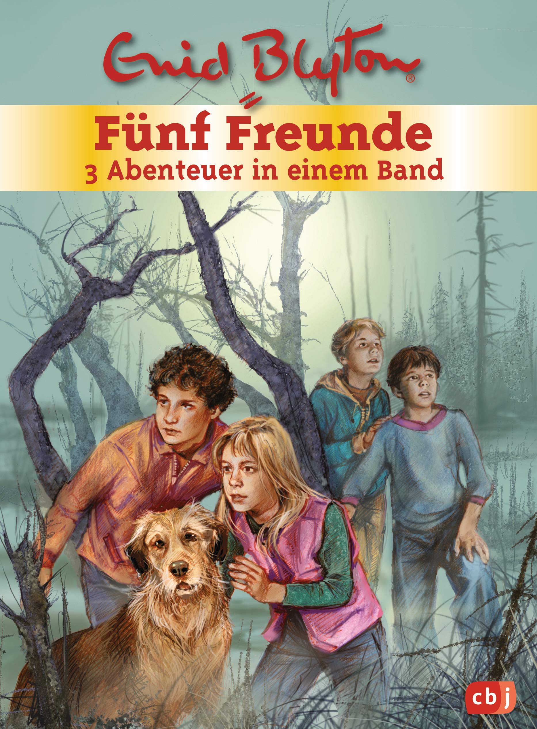 Fünf Freunde. Sammelband 01 Novels & Short Stories