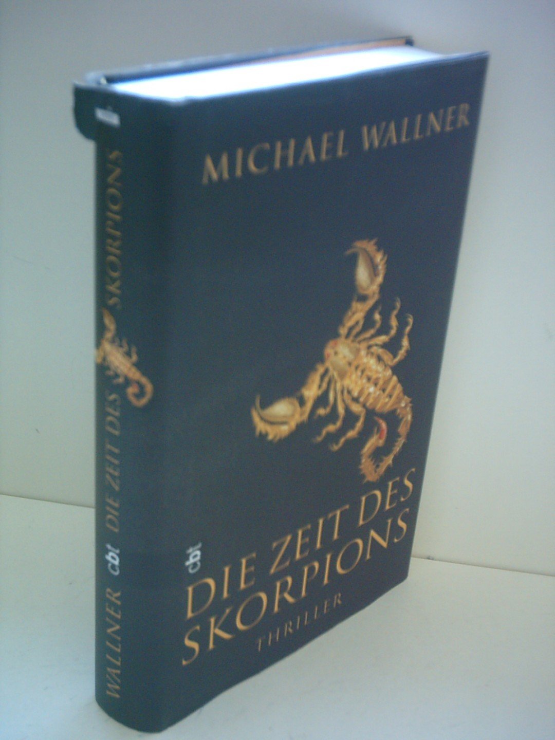 Die Zeit des Skorpions Fantasy & Sci-Fi for children