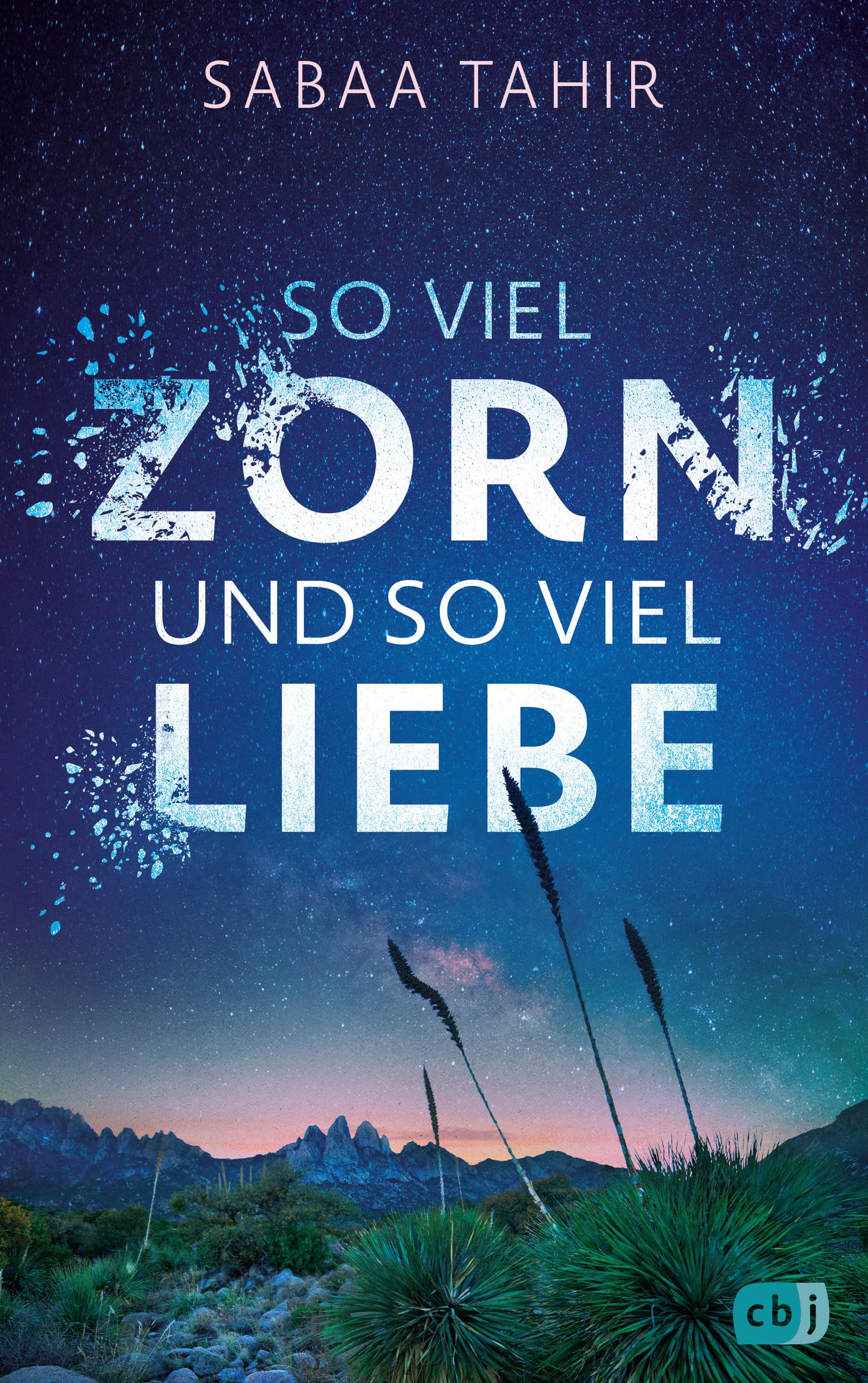 So viel Zorn und so viel Liebe Contemporary literature