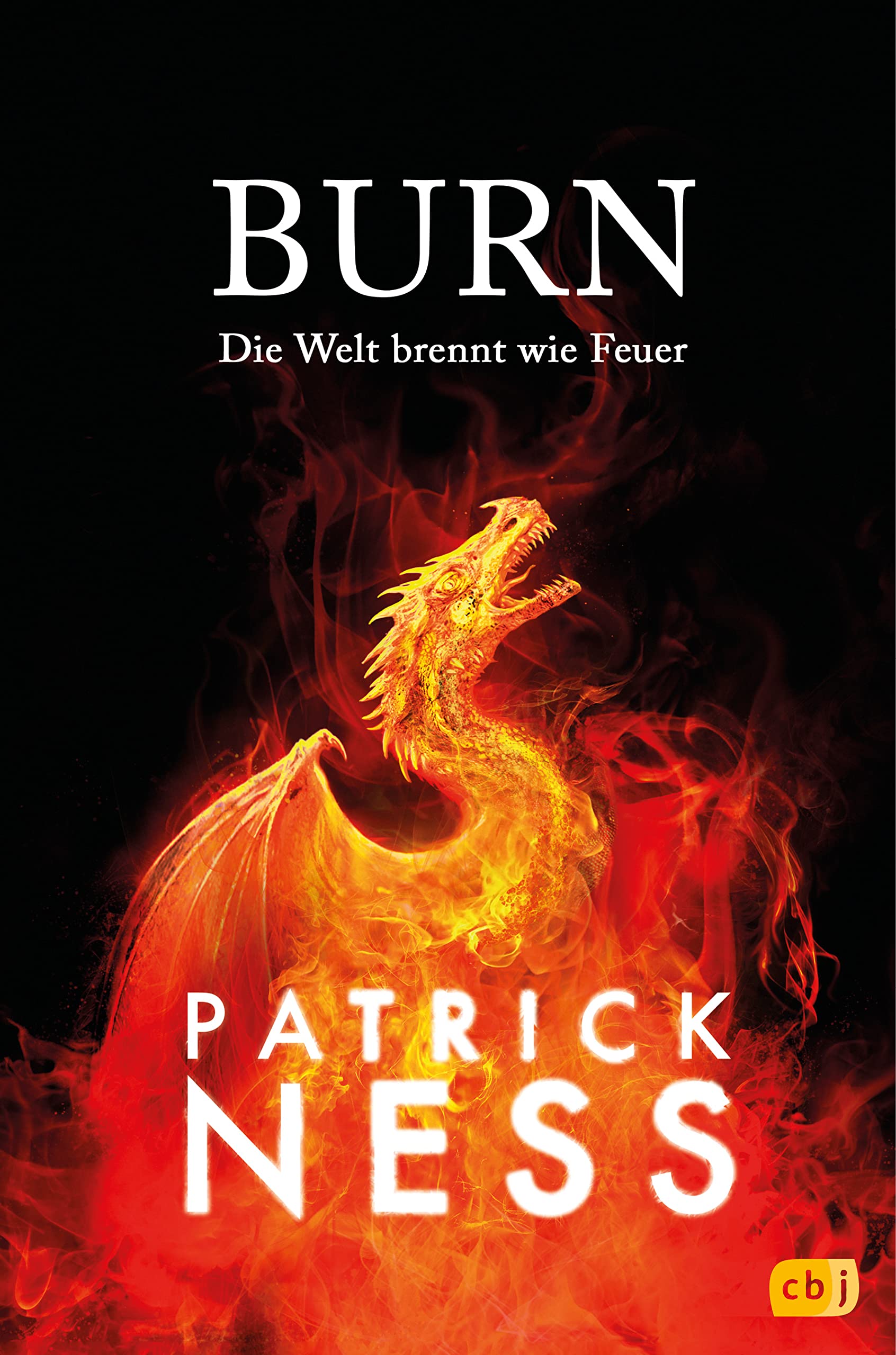 Product Image: Burn - Die Welt brennt wie Feuer