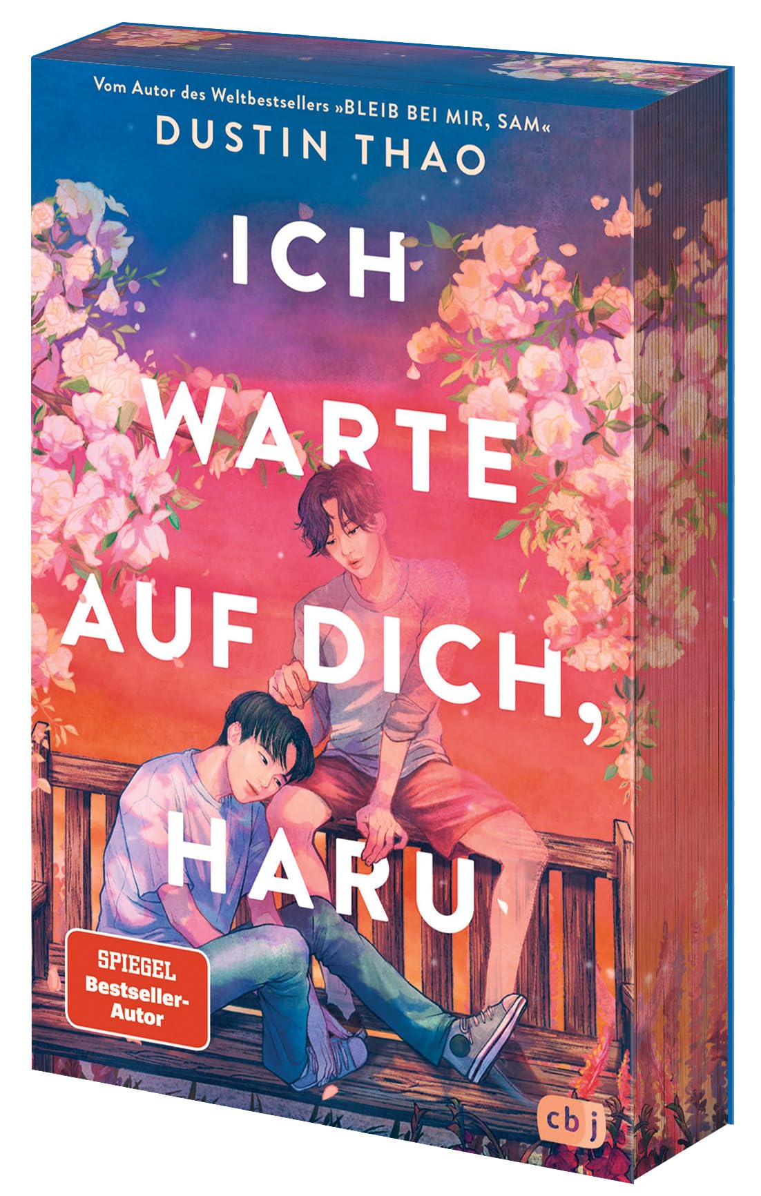 Ich warte auf dich, Haru Contemporary literature Books