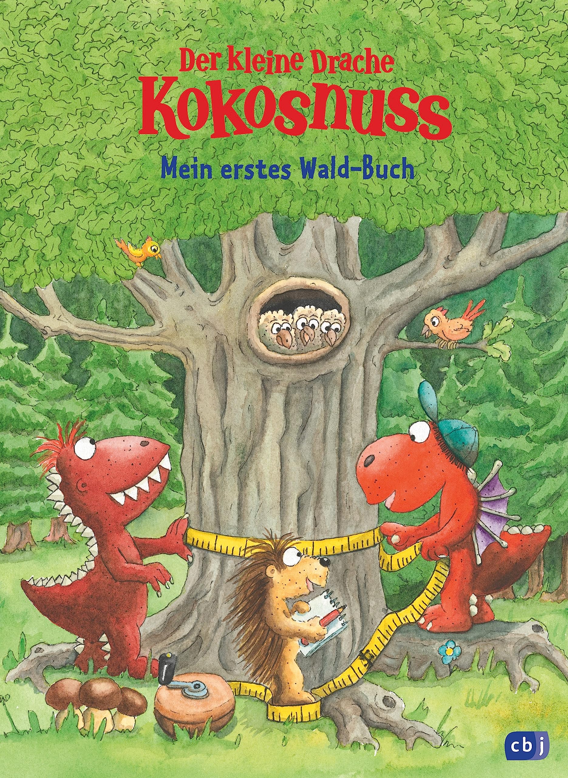Der kleine Drache Kokosnuss - Mein erstes Wald-Buch Leisure, Home & Garden