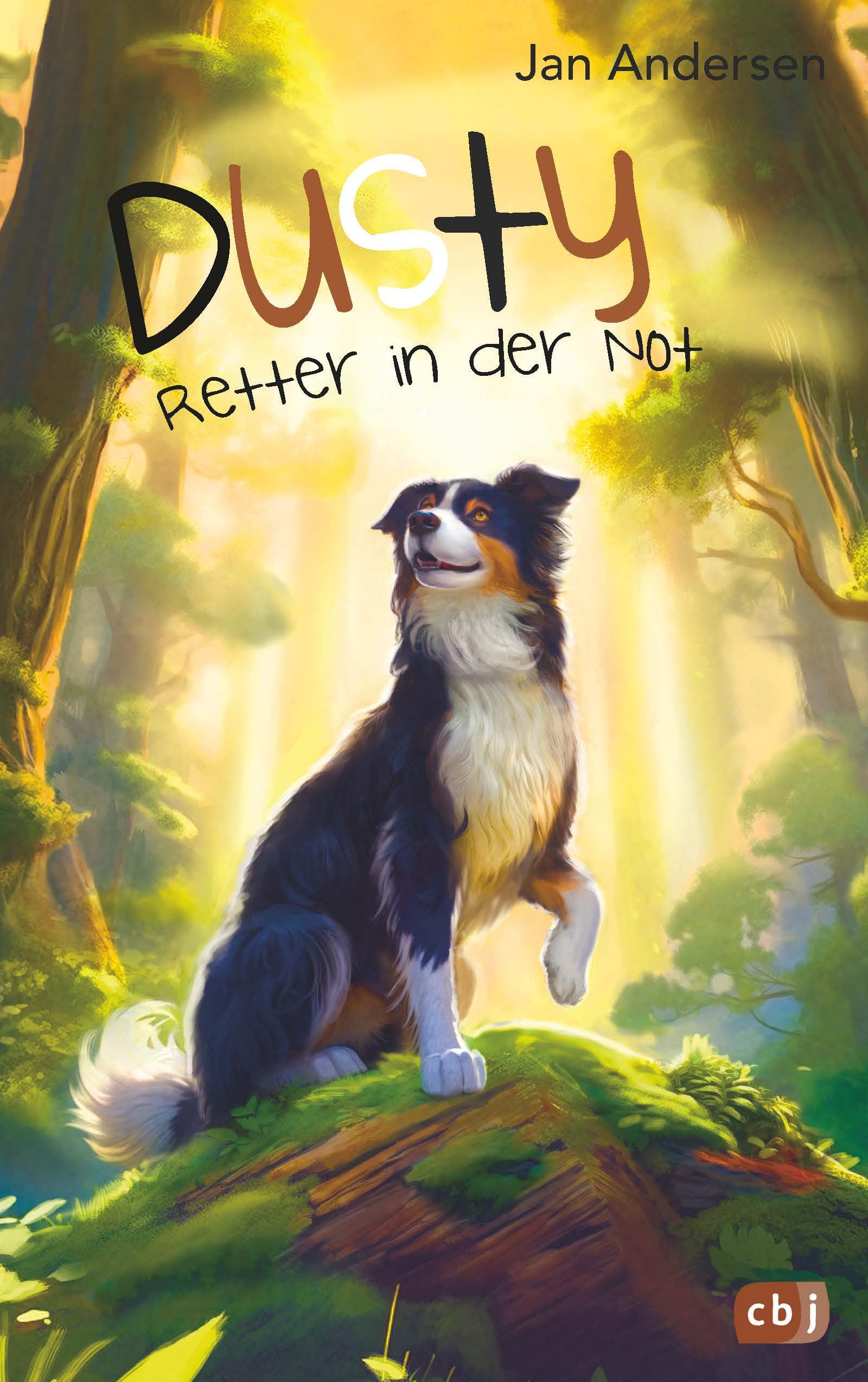 Dusty - Retter in der Not Non-fiction
