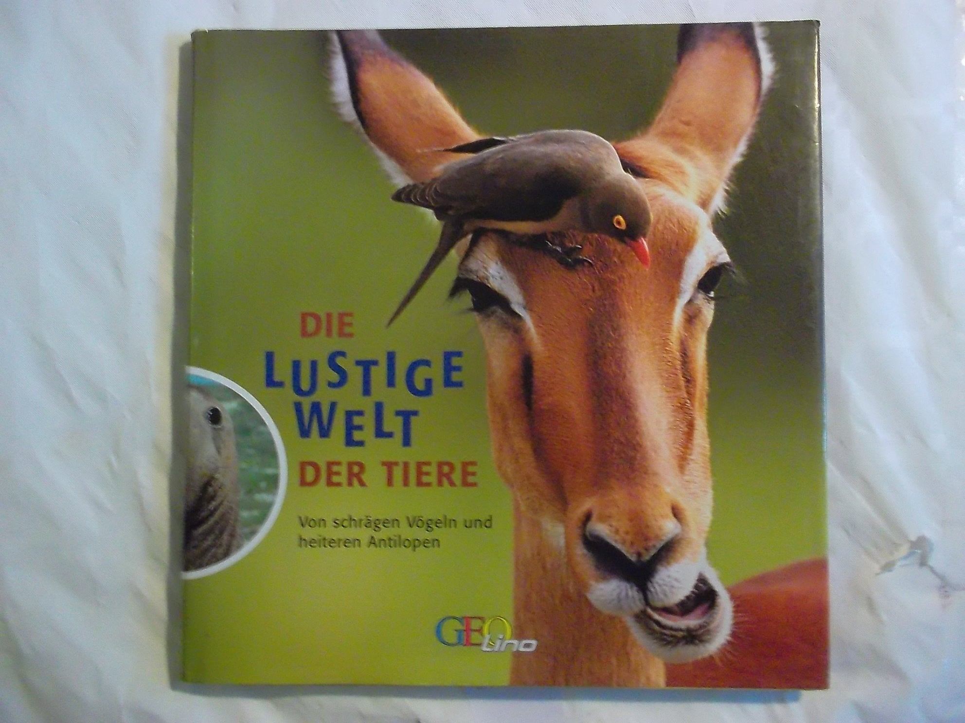 Die lustige Welt der Tiere: Von schrägen Vögeln und heiteren Antilopen Non-fiction