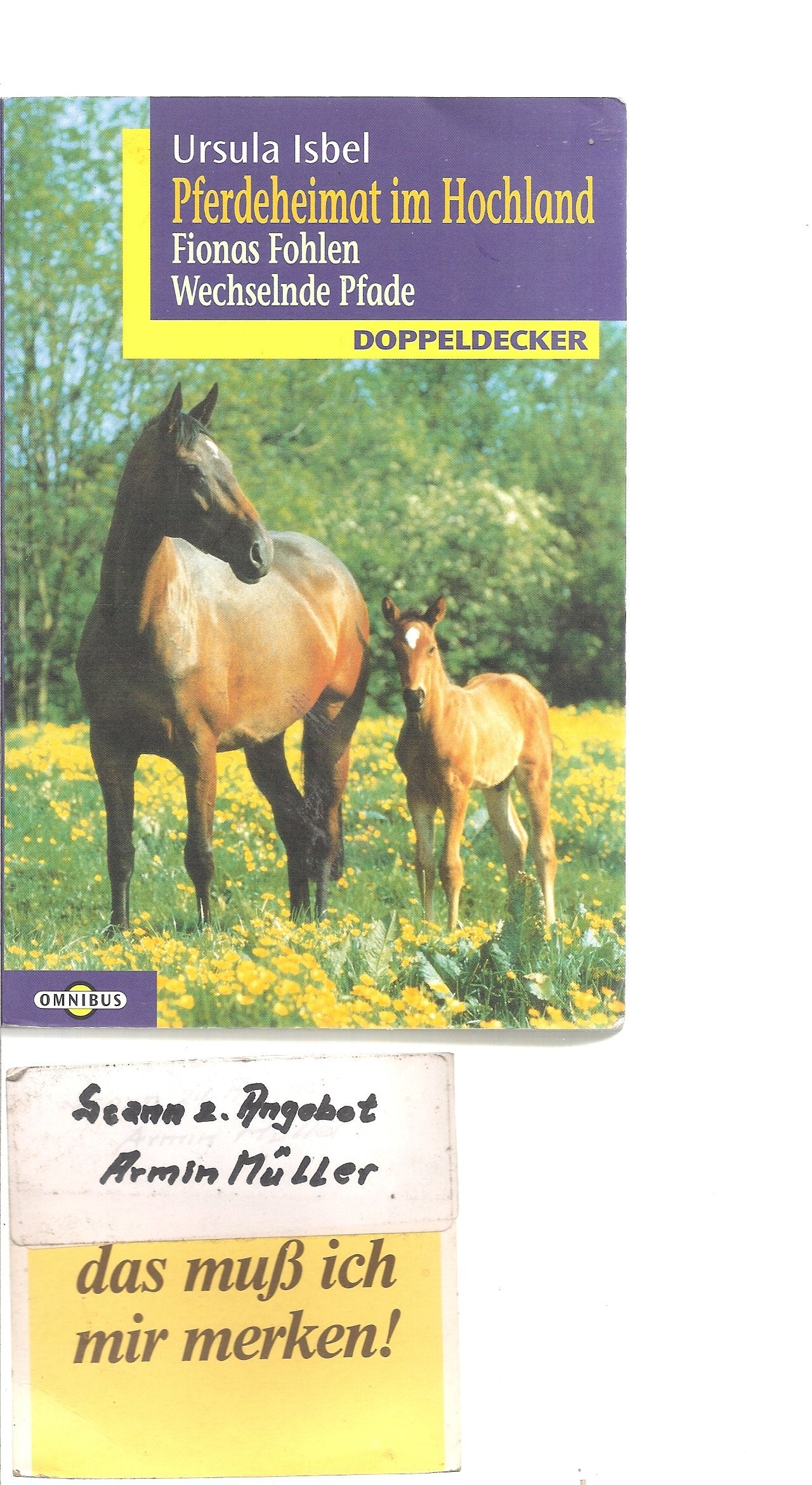 Pferdeheimat im Hochland: Fionas Fohlen /Wechselnde Pfade Books