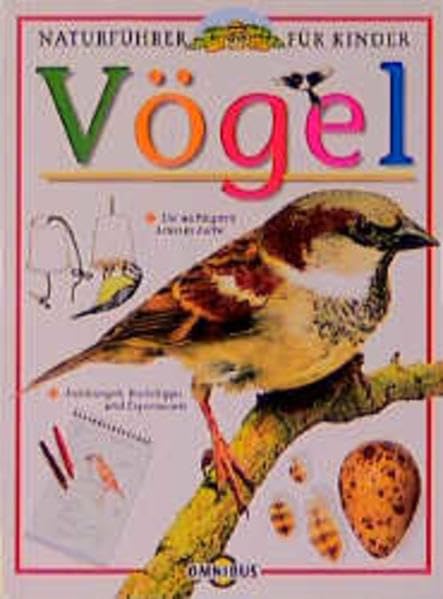Vögel: Ab 10 Jahren (Naturführer für Kinder) Non-fiction