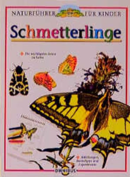 Schmetterlinge: Ab 10 Jahren (Naturführer für Kinder) Non-fiction