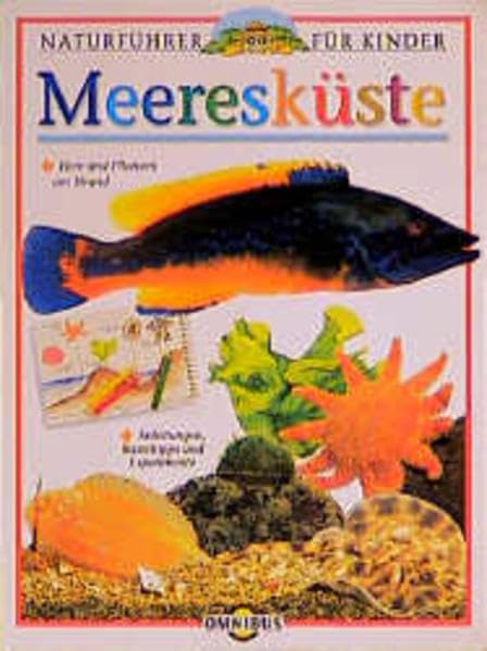 Meeresküste: Ab 10 Jahren (Naturführer für Kinder) Non-fiction