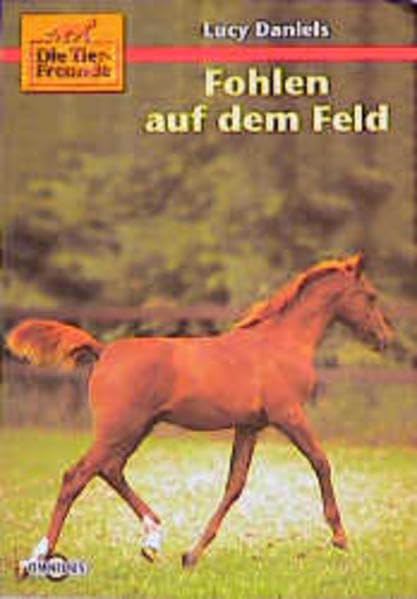 Die Tierfreunde / Fohlen auf dem Feld: Ab 10 Jahre Books