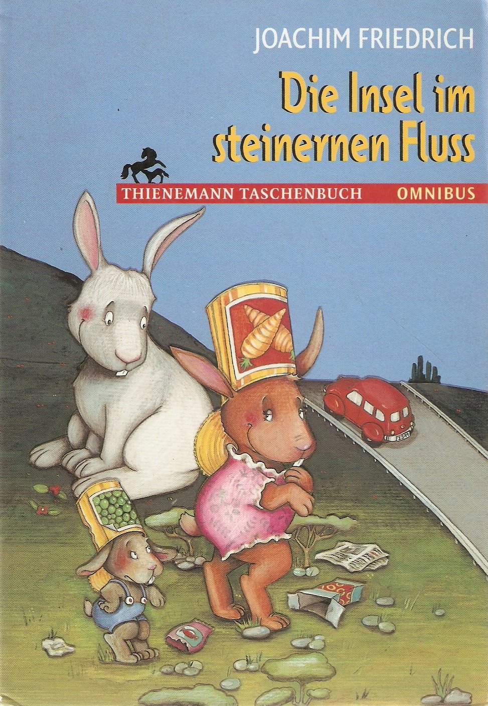 Die Insel im steinernen Fluss: Ab 8 Jahre Books