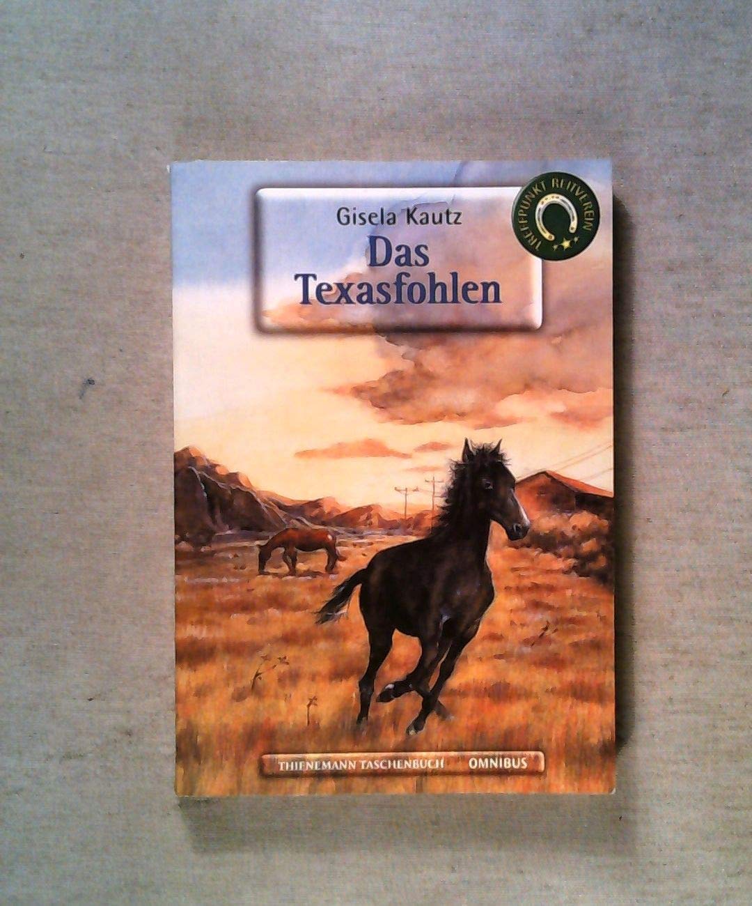 Treffpunkt Reitverein: Das Texasfohlen. Books
