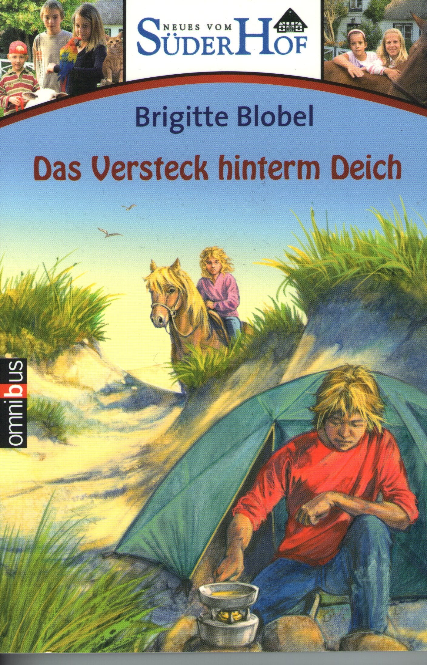 Neues vom Süderhof 1 - Das Versteck hinterm Deich Novels & Short Stories