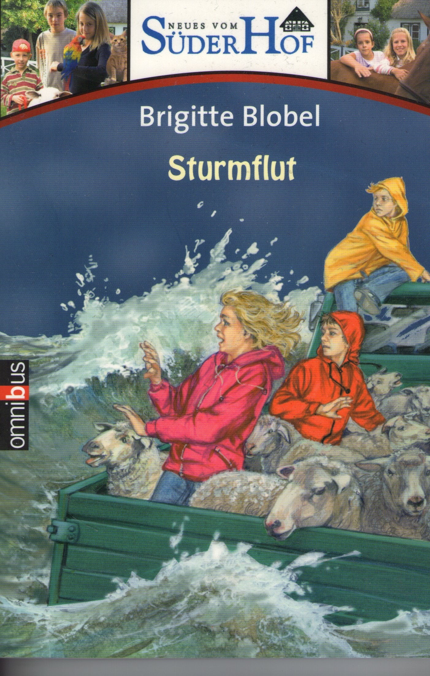 Neues vom Süderhof 5 - Sturmflut Contemporary literature