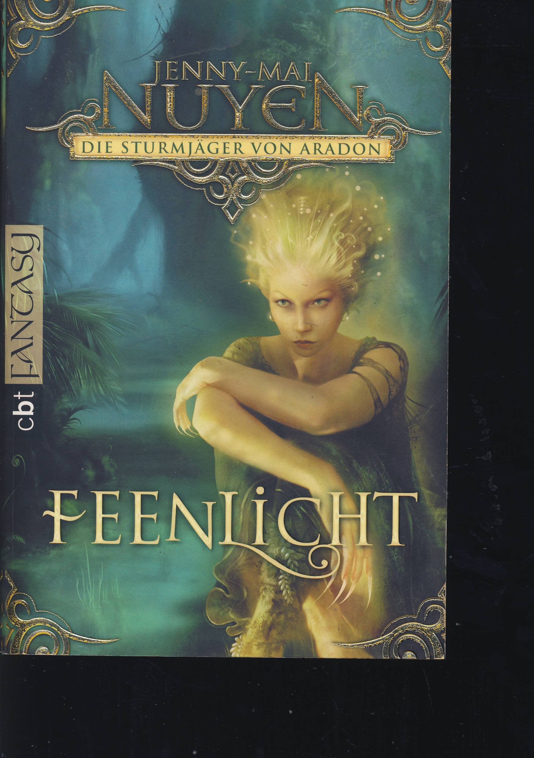 Die Sturmjäger von Aradon - Feenlicht: Band 1 (Die Aradon-Saga, Band 1) Fantasy & Sci-Fi