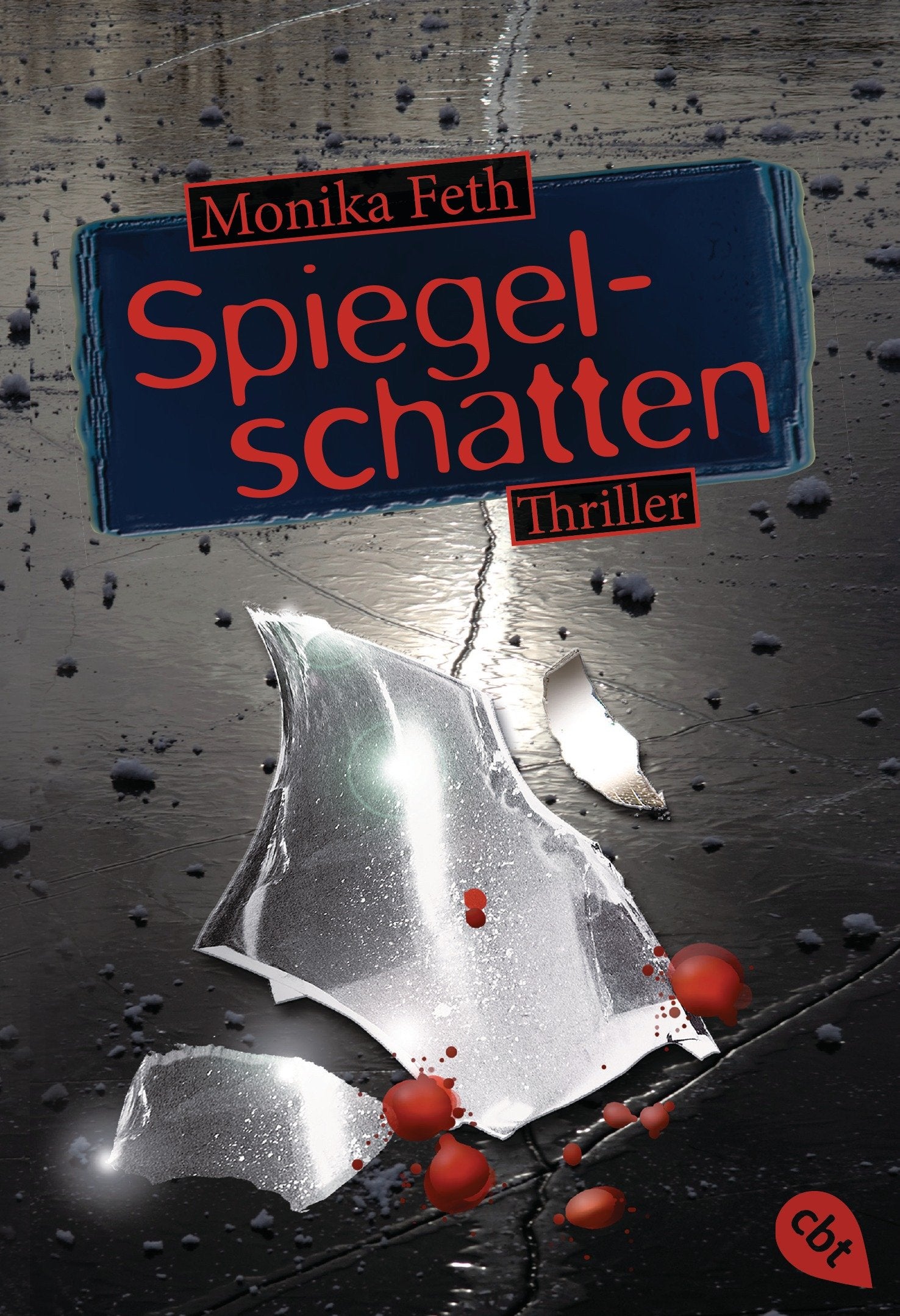 Spiegelschatten Contemporary literature Books