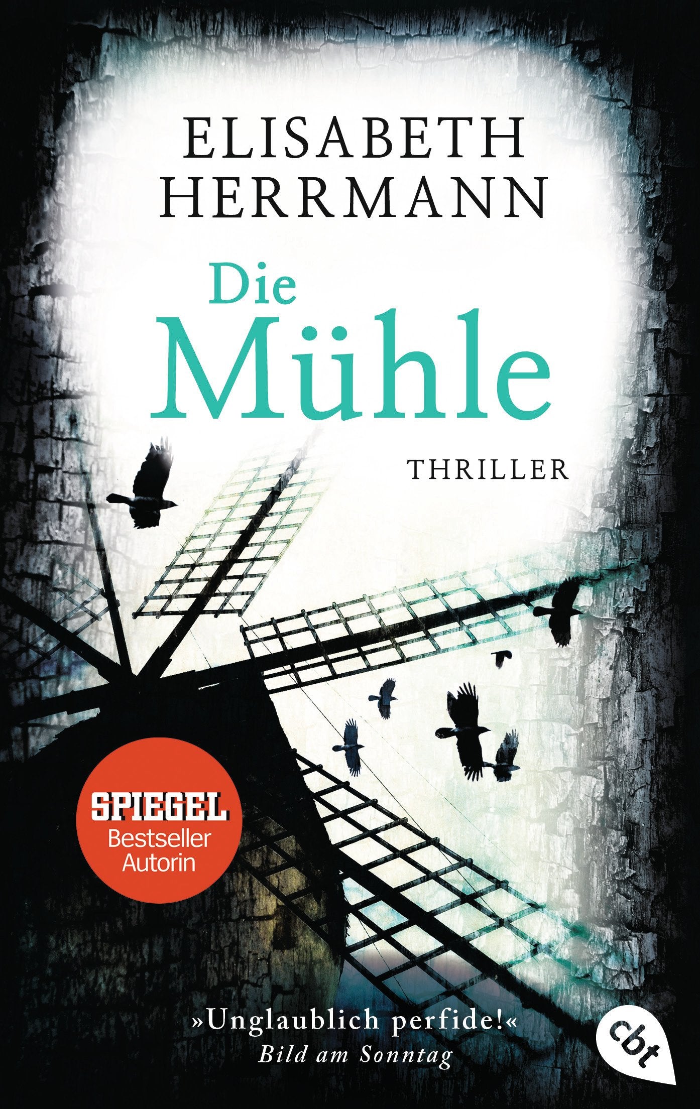 Die Mühle Contemporary literature Books