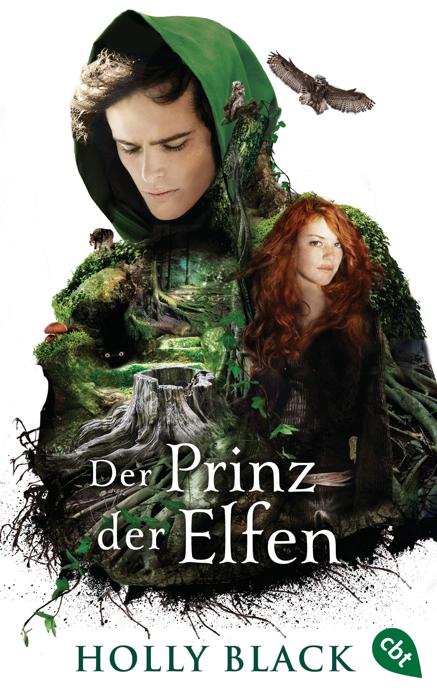 Der Prinz der Elfen Fiction books for children