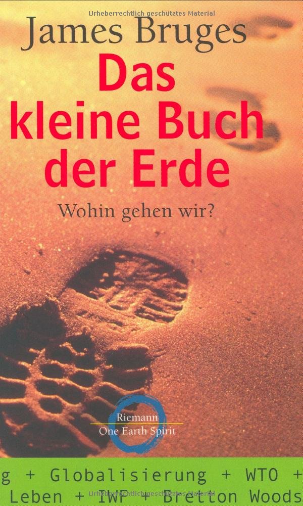 Das kleine Buch der Erde. Wohin gehen wir? Business, Finance & Career