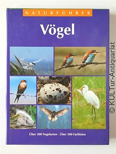 Naturführer Vögel Business & Technology